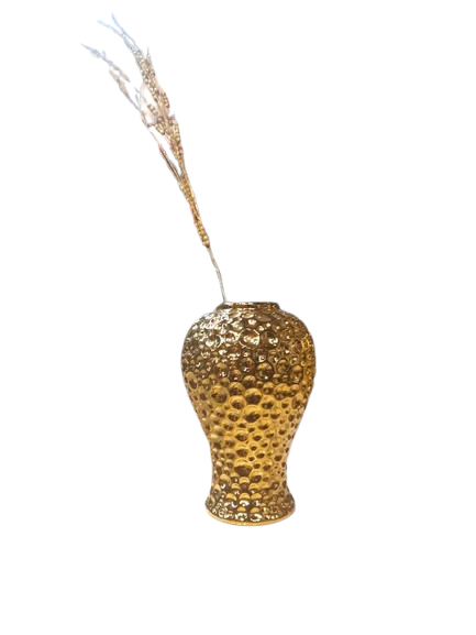 0-removebg-preview (8).png