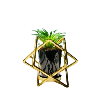 Geometric Gold Plant Stand - Modern Triangular Frame Planter